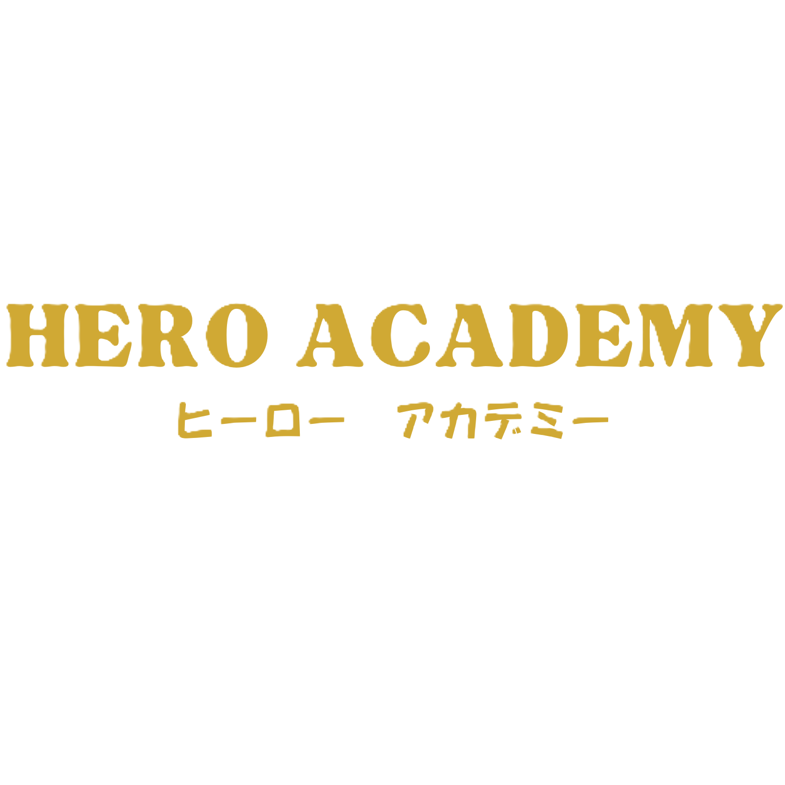 ＨＥＲＯ ＡＣＡＤＥＭＹ (1)